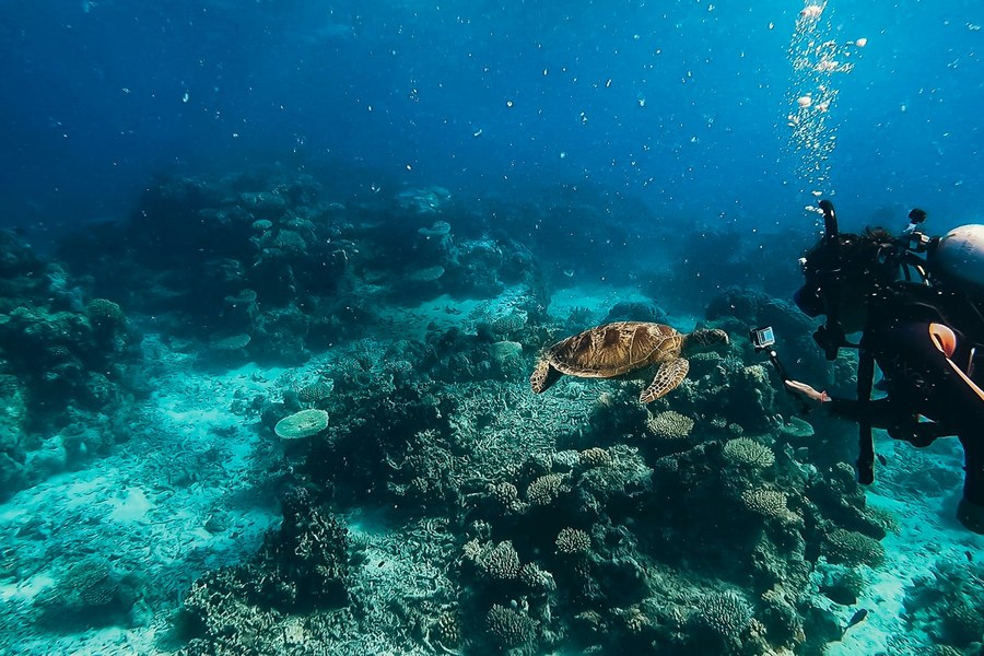 Diver preparing gear for an overseas dive trip