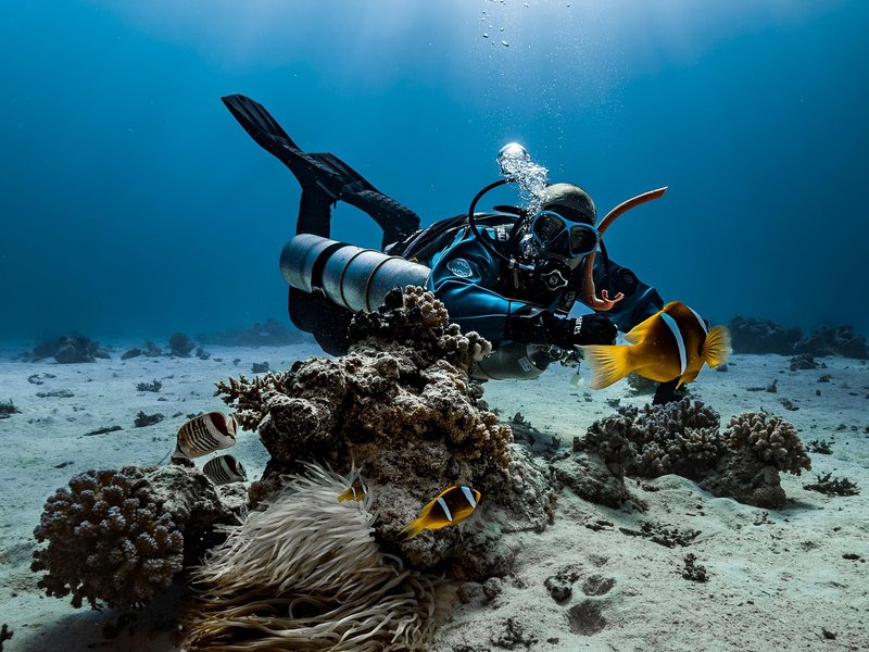 Scuba diver in full cold water gear on the seabed